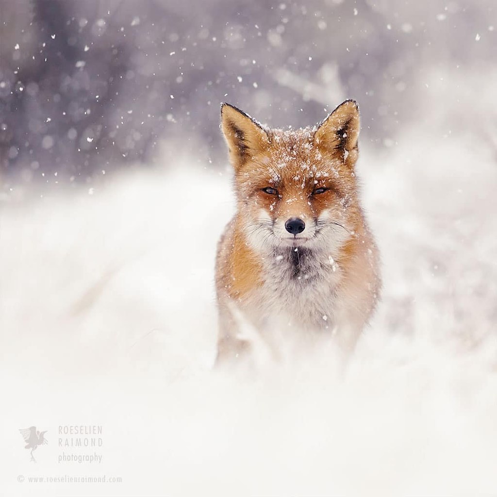 #@https://fotostrana.ru/away?to=/sl/NWB4 Emma Taggart - 7