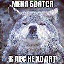 ���� ������, ������ - ��������� 8 ������ 2019 � ������ ���� ����������