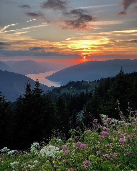 Switzerland - 5