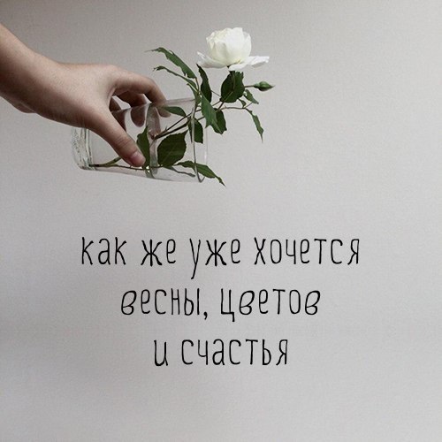   - 4  2019  17:00