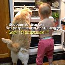 ���� Sergei, �������, 49 ��� - ��������� 29 ����� 2019 � ������ ���� ����������