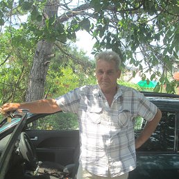 Volodimir, �����������, 66 ���