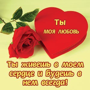   ,    . - 8  2019  11:14
