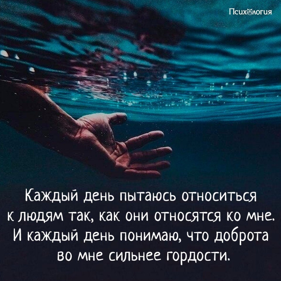  - 15  2018  02:55