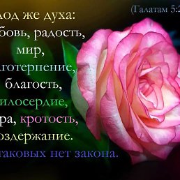 ���� �������, ���� - ��������� 27 ������ 2018