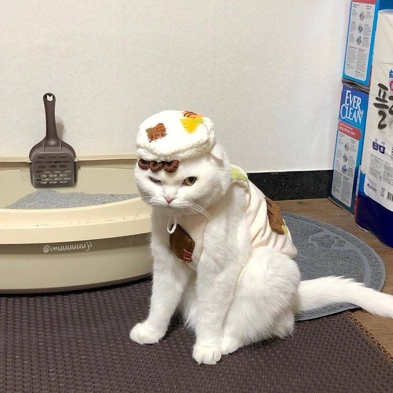 -       ?..
