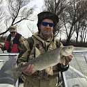 ���� ��������, ������ - ��������� 31 ������ 2019 � ������ ���� ����������