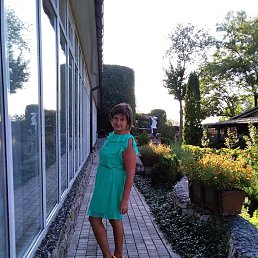 , 54, 
