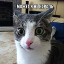 ���� ���������, ���������, 57 ��� - ��������� 7 �������� 2018 � ������ ���� ����������