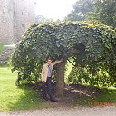 ���� ���������, �������, 41 ��� - ��������� 21 ���� 2018 � ������ ���� ����������