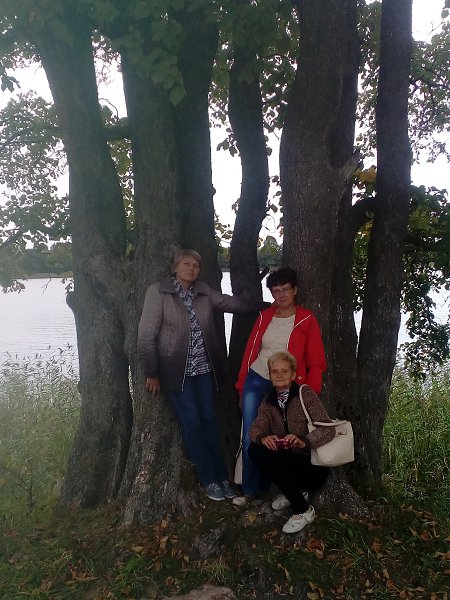 Астрологические соответствия.Озеро Яново 1. Очертания западной части берега оз. Яново напоминают ... - 2