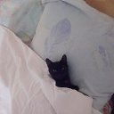 ���� ����, ���������, 48 ��� - ��������� 4 ������� 2018 � ������ ���� ����������