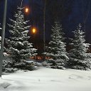 ���� ������, ������ - ��������� 11 ������ 2019 � ������ ���� ����������