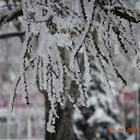 ���� ������, ������, 57 ��� - ��������� 1 ������ 2019 � ������ ���� ����������
