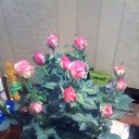 ���� �����, ����������, 51 ��� - ��������� 8 �������� 2018 � ������ ���� ����������