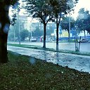 ����. ����. �� ������� ���� ����������