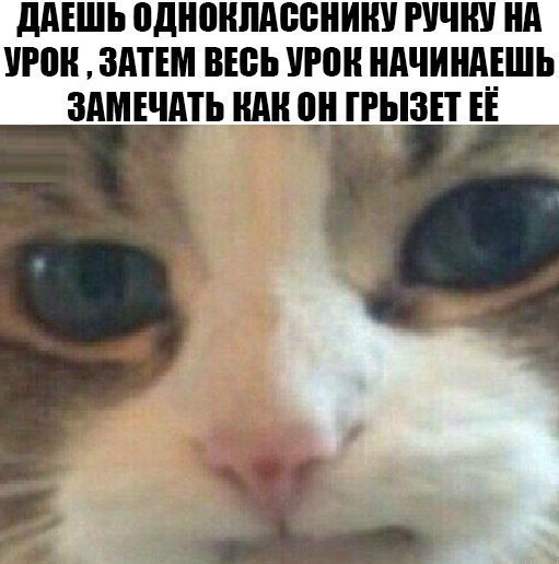  - 15  2019  16:44