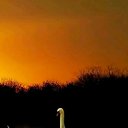 ���� ������, ������, 41 ��� - ��������� 13 ������� 2018 � ������ ���� ����������
