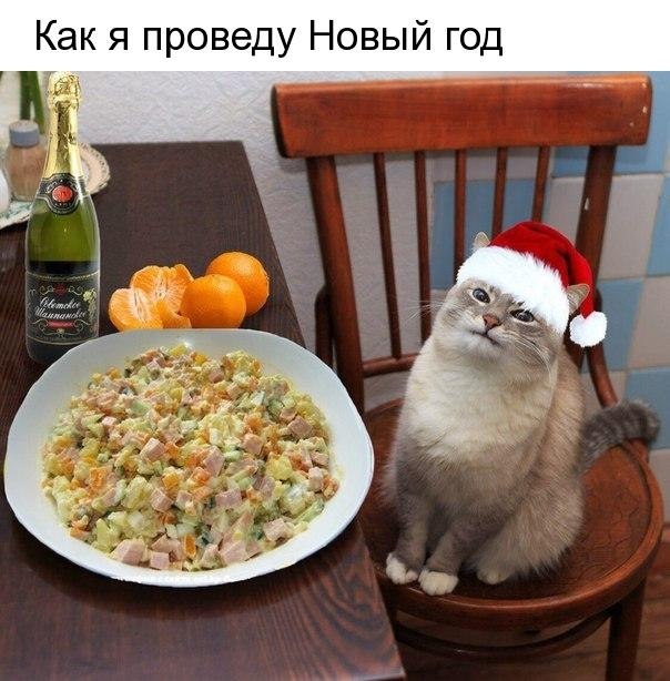   - 1  2018  17:04