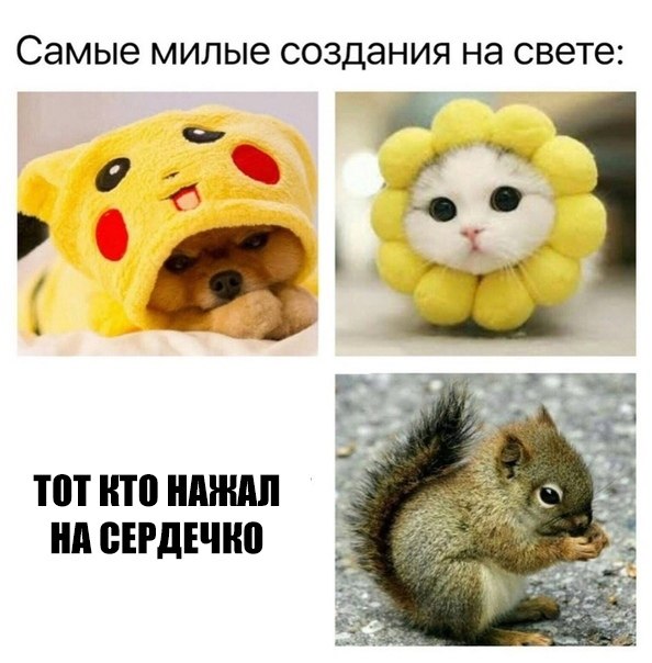    :D - 21  2019  03:23