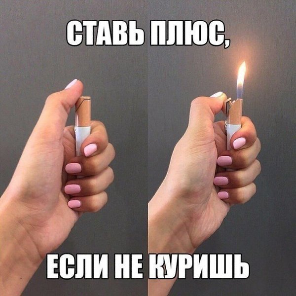 ☆   ☆ - 8  2018  16:32