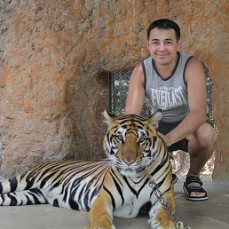 ������, ��������, 37 ���