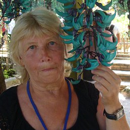 �������, ������