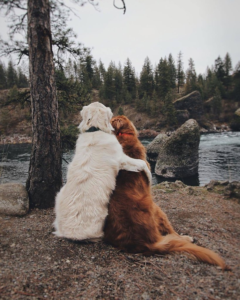 -.: https://fotostrana.ru/away?to=/sl/qcG ()#@ican - 7
