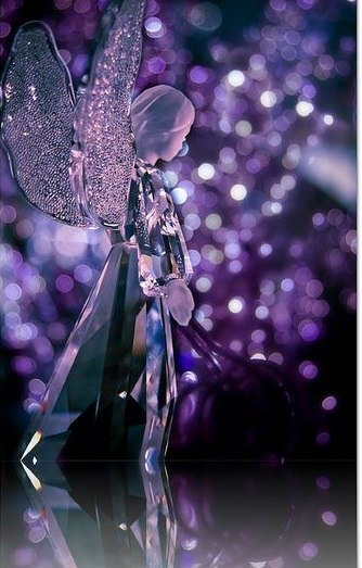   ,    . - 24  2019  21:25 - 2