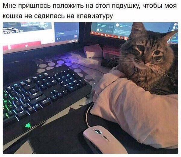    - 29  2019  16:41