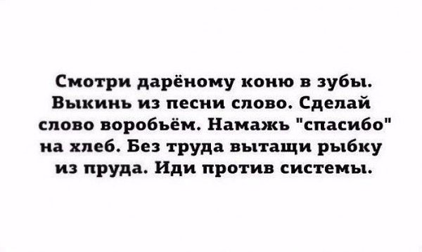 BEST | , ,  - 18  2018  02:51