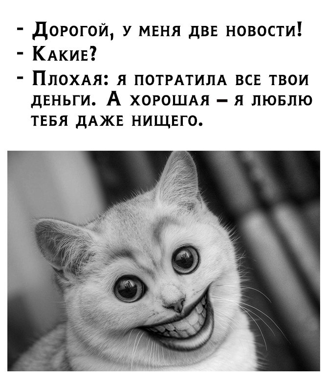     - 11  2018  21:57