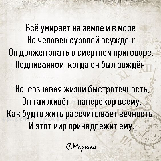     - 3  2019  16:46