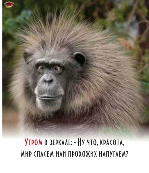 ***Victoria Viktorovna*** - 20 ������ 2018 � 16:53