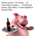 ���� ����, ����� - ��������� 5 ������� 2019 � ������ ������ ��������