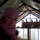  ***L***,   -  13  2019    27.12.2018 . - 10.01.2019 .