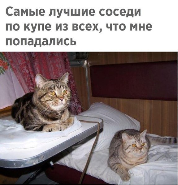 ~**~ - 15  2019  11:37