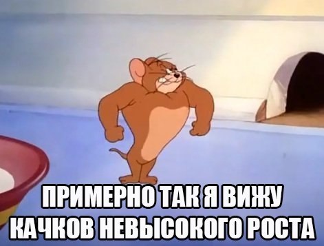SportFeed - 29  2019  16:44