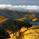  Svetlana, , 55  -  16  2018    