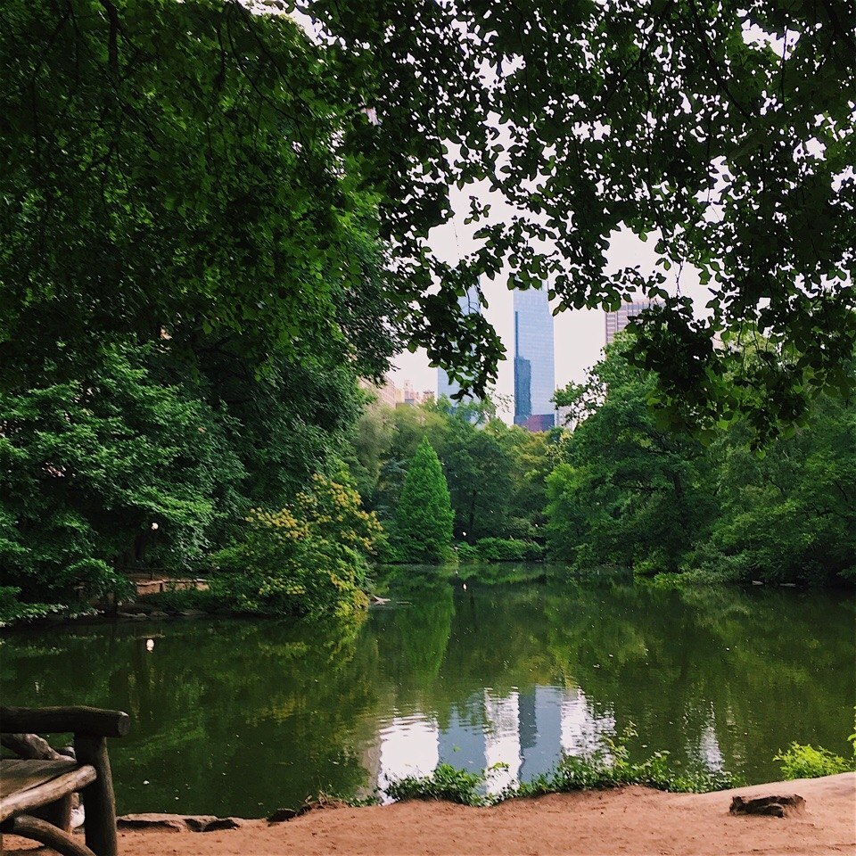 New York, USA.:   - 8