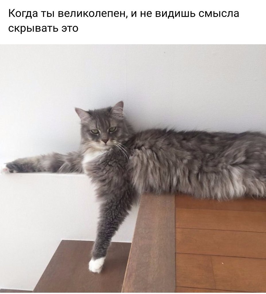  ... - 6  2019  17:01