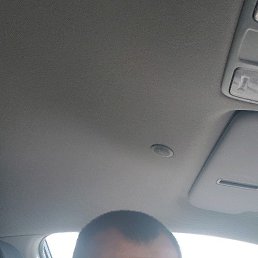 �������, �����-���������, 43 ����