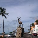 ���� �����, ������ ��������, 41 ��� - ��������� 4 �������� 2018 � ������ ���� ����������