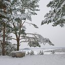 ���� ��������, ����� - ��������� 15 ������ 2019 � ������ ��������