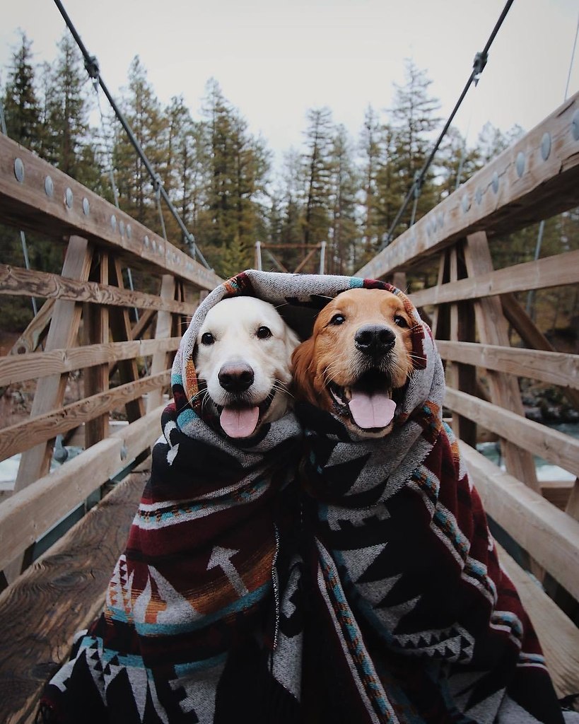 -.: https://fotostrana.ru/away?to=/sl/qcG ()#@ican - 5