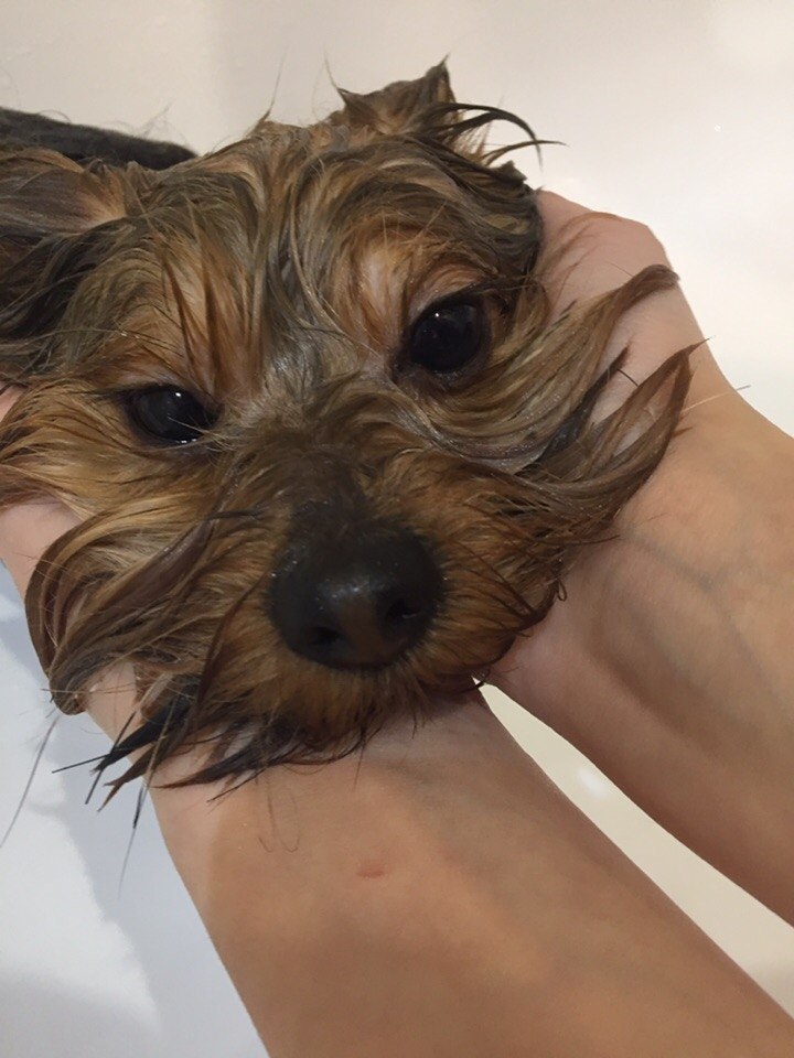 Жорик ,3 года