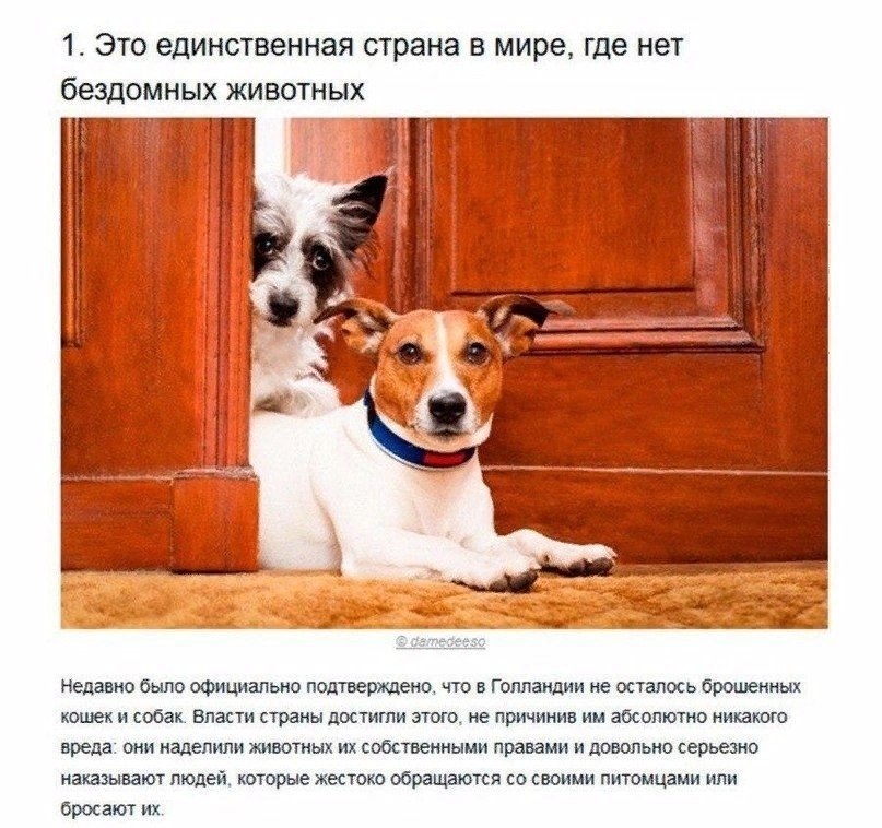 o    2019, o   3019