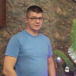 ����, ����, 41 ���