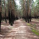  , , 61  -  22  2018    2018