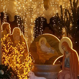 ���� ���������, ������, 44 ���� - ��������� 25 ������ 2019